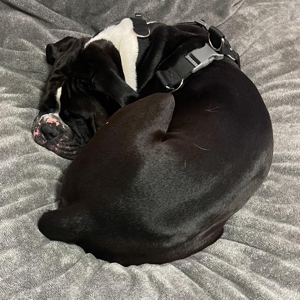 Kiefer — thumbnail 2