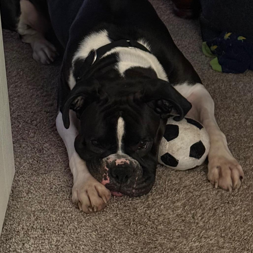 Kiefer — thumbnail 4