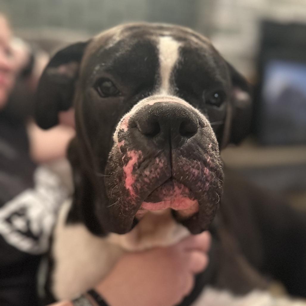 Kiefer — thumbnail 5