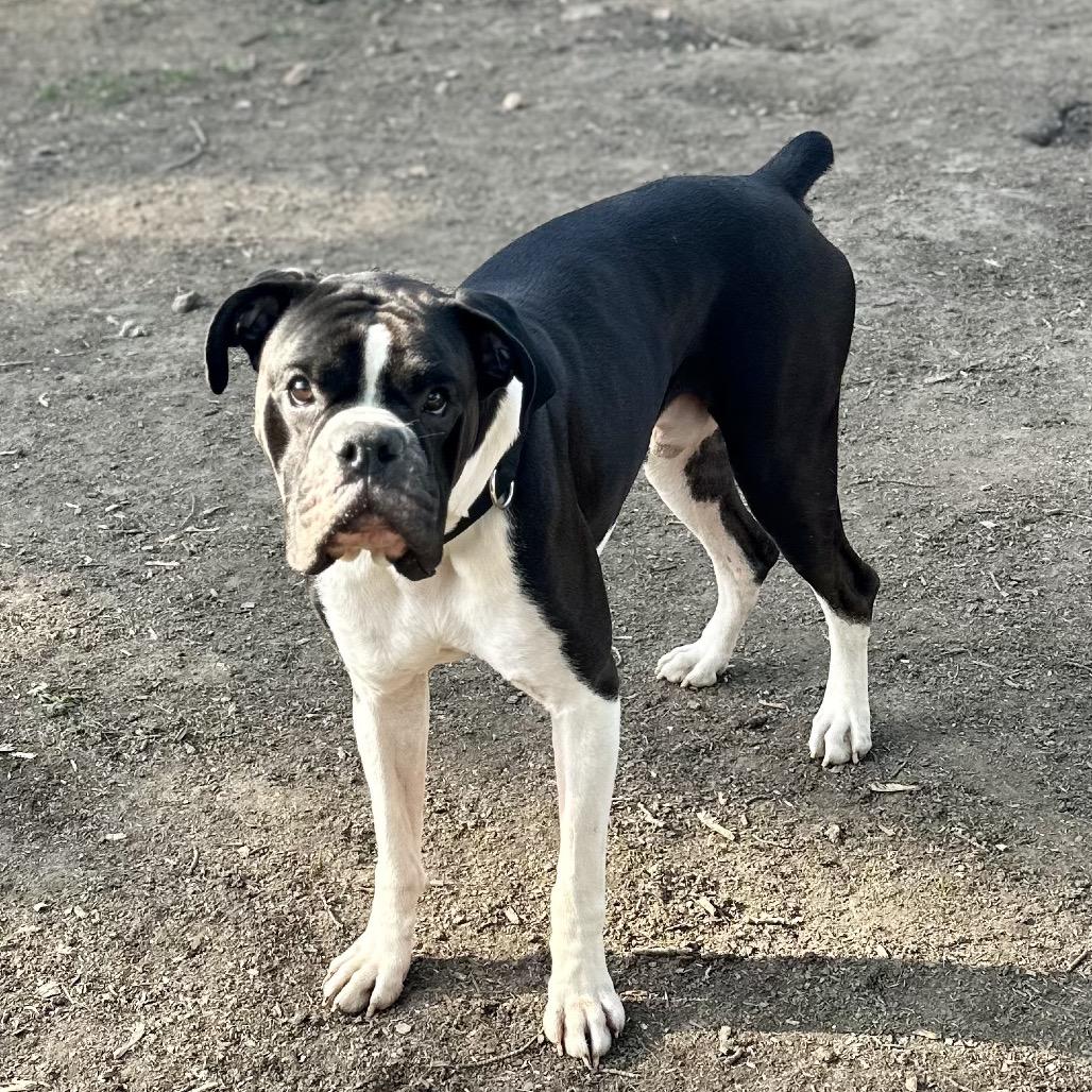 Kiefer — thumbnail 6