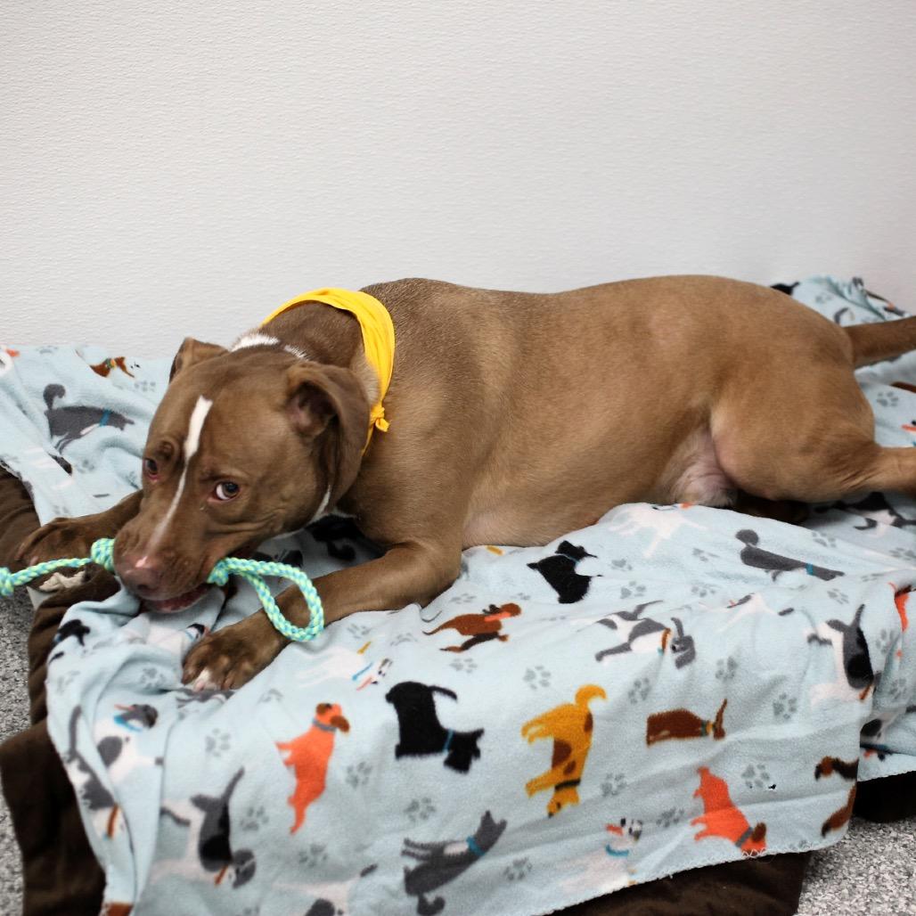 Liam G — thumbnail 2