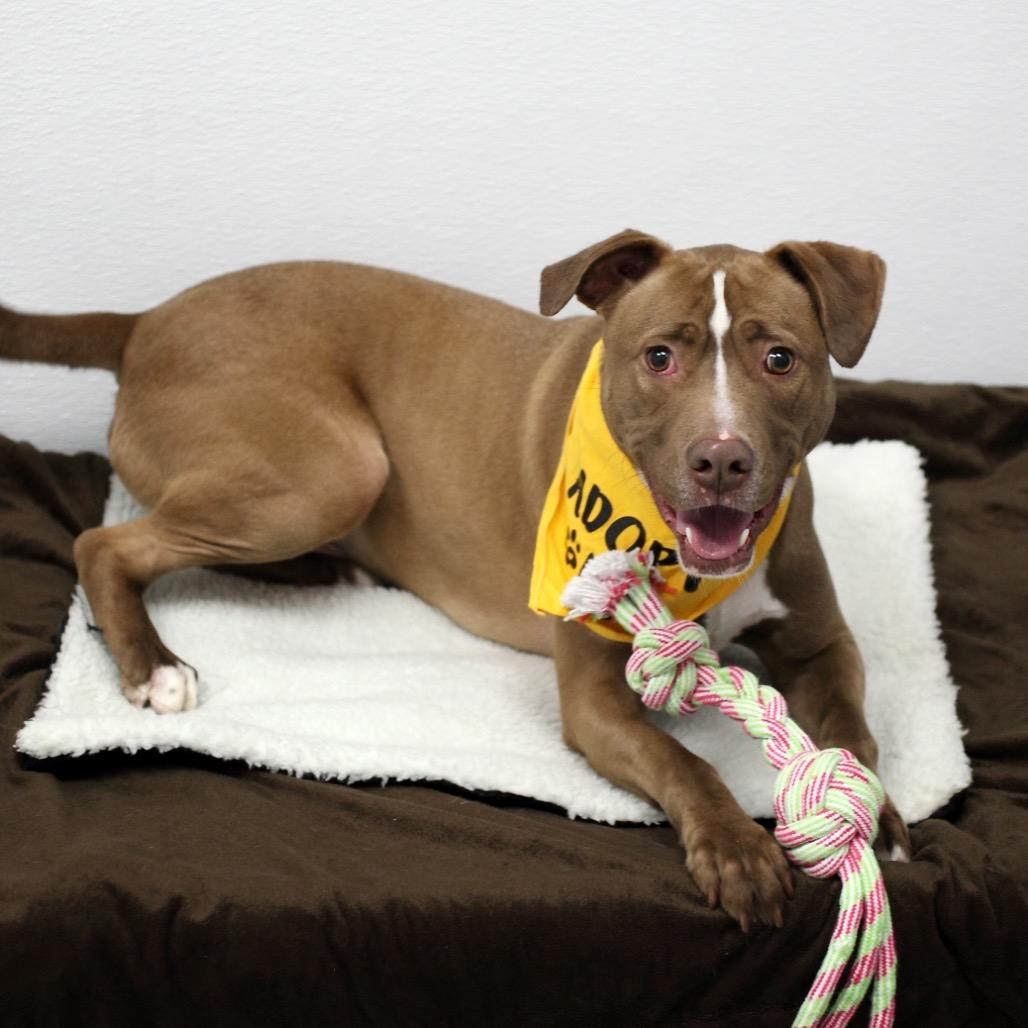 Liam G — thumbnail 3