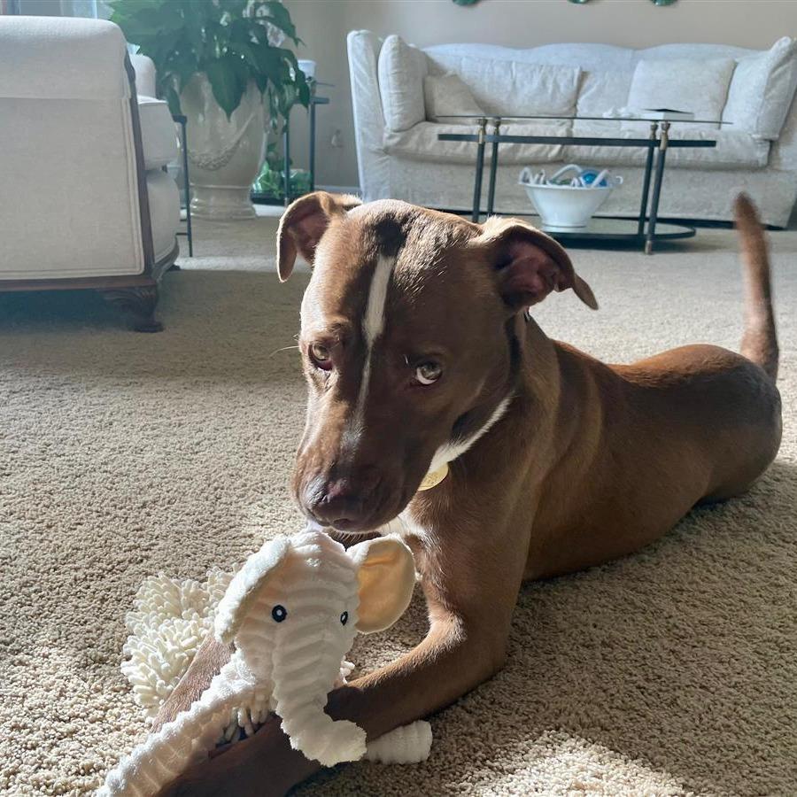 Liam G — thumbnail 4