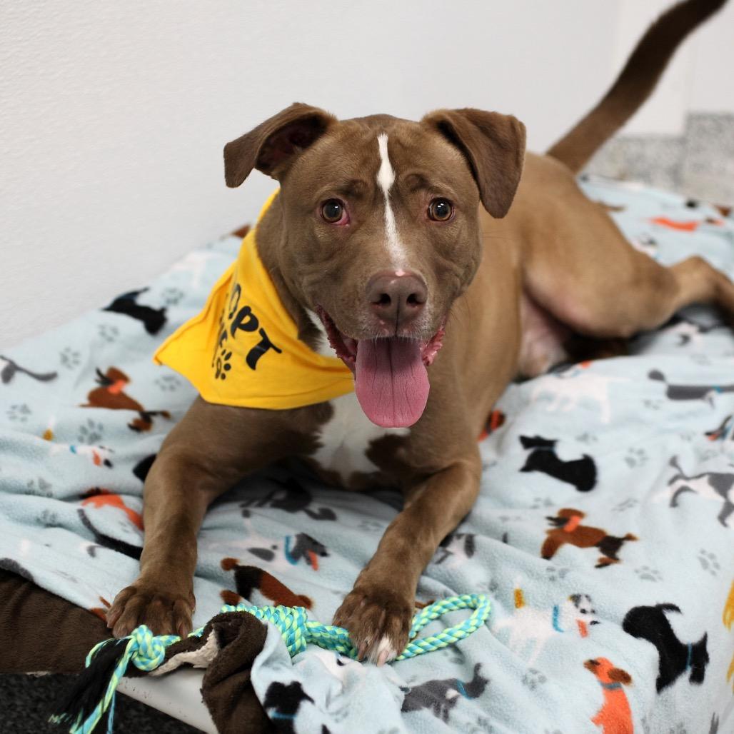 Liam G — thumbnail 5