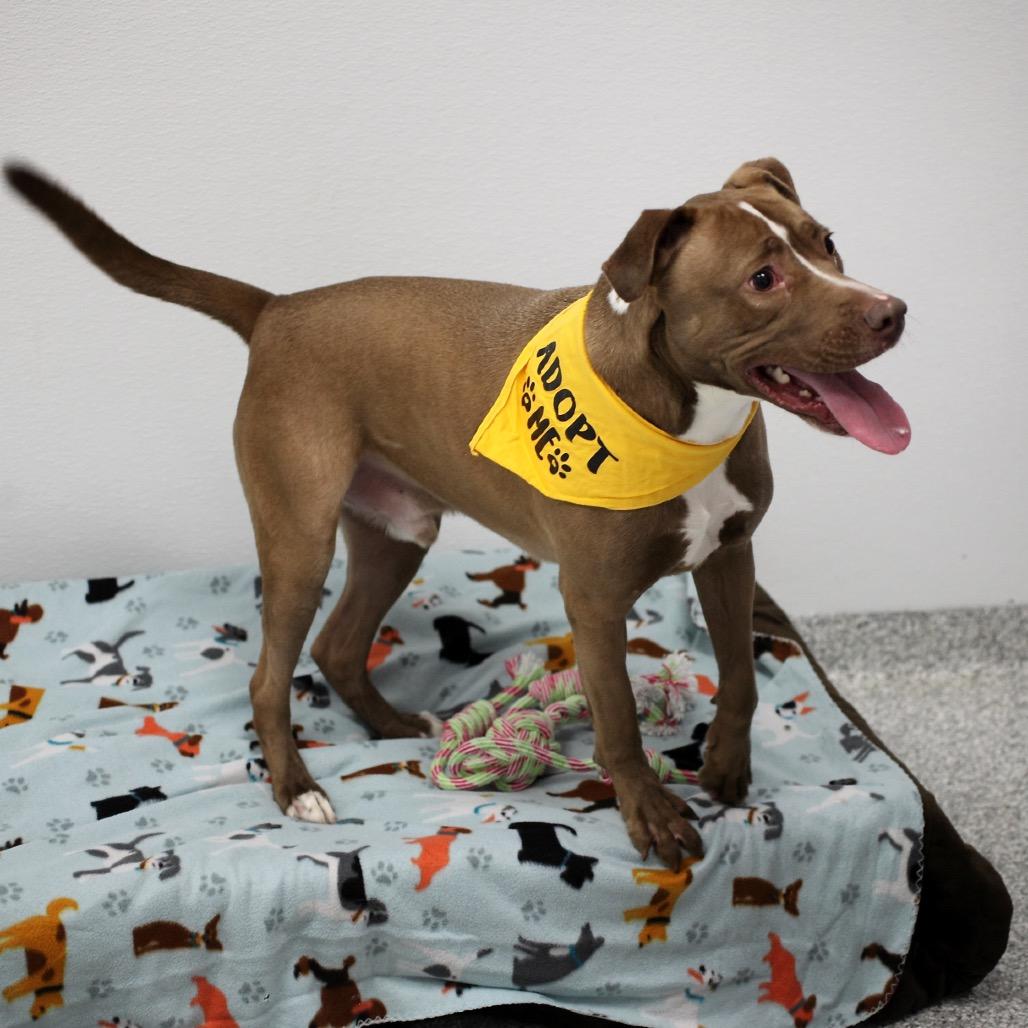 Liam G — thumbnail 6