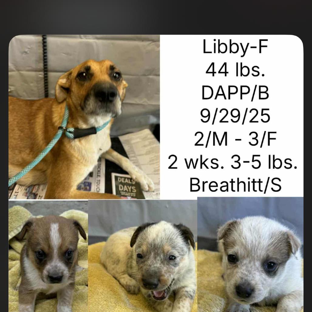 Mama Libby thumbnail 3