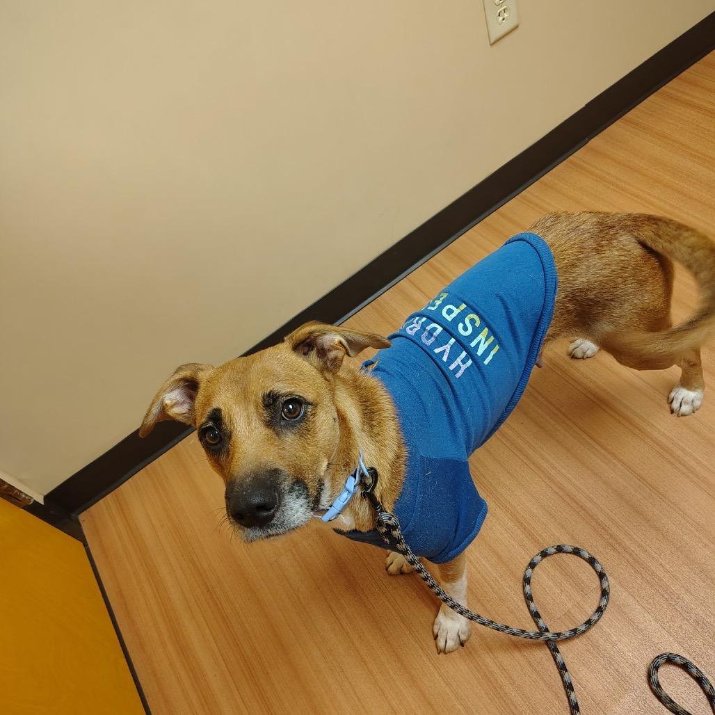 Mama Libby thumbnail 4