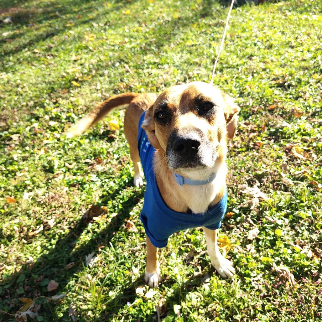 Mama Libby thumbnail 5