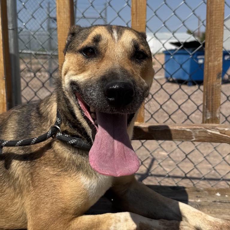 Ripley — thumbnail 2