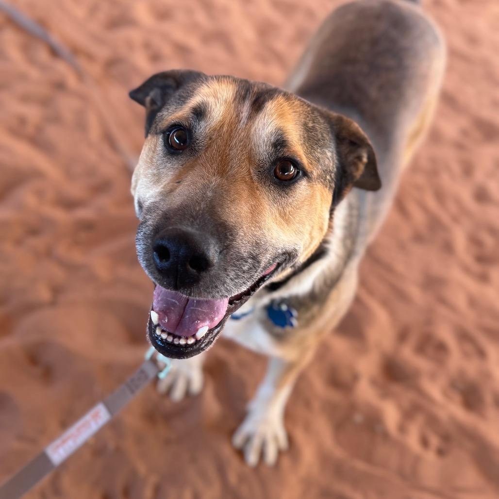 Ripley — thumbnail 3