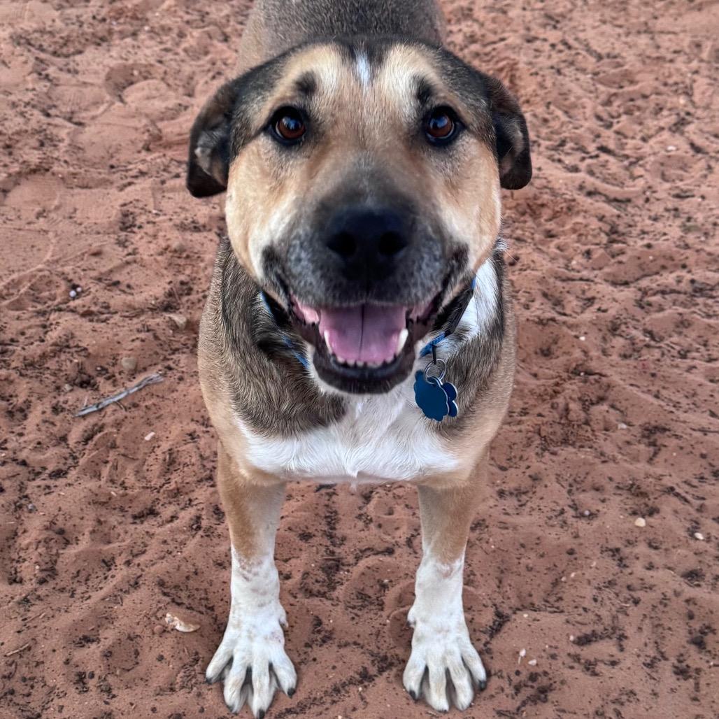 Ripley — thumbnail 4