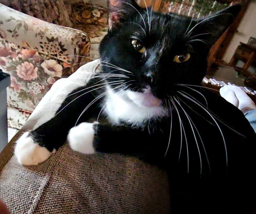 Severus (Courtesy Listing) — thumbnail 2