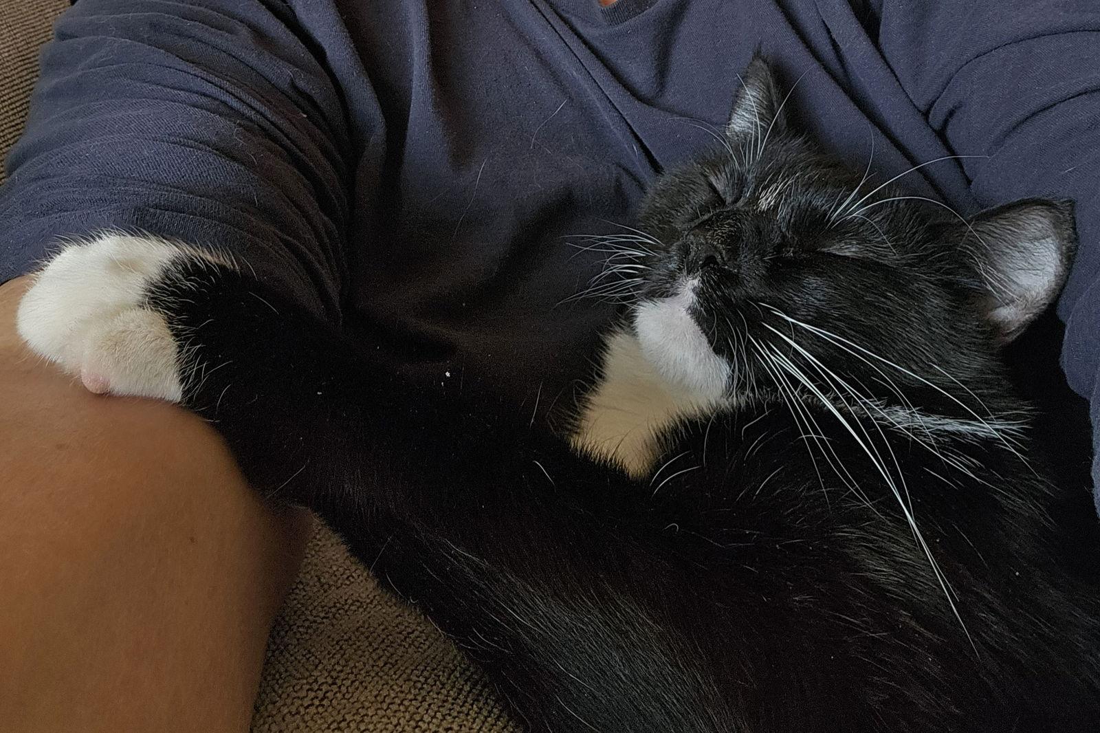 Severus (Courtesy Listing) — thumbnail 3