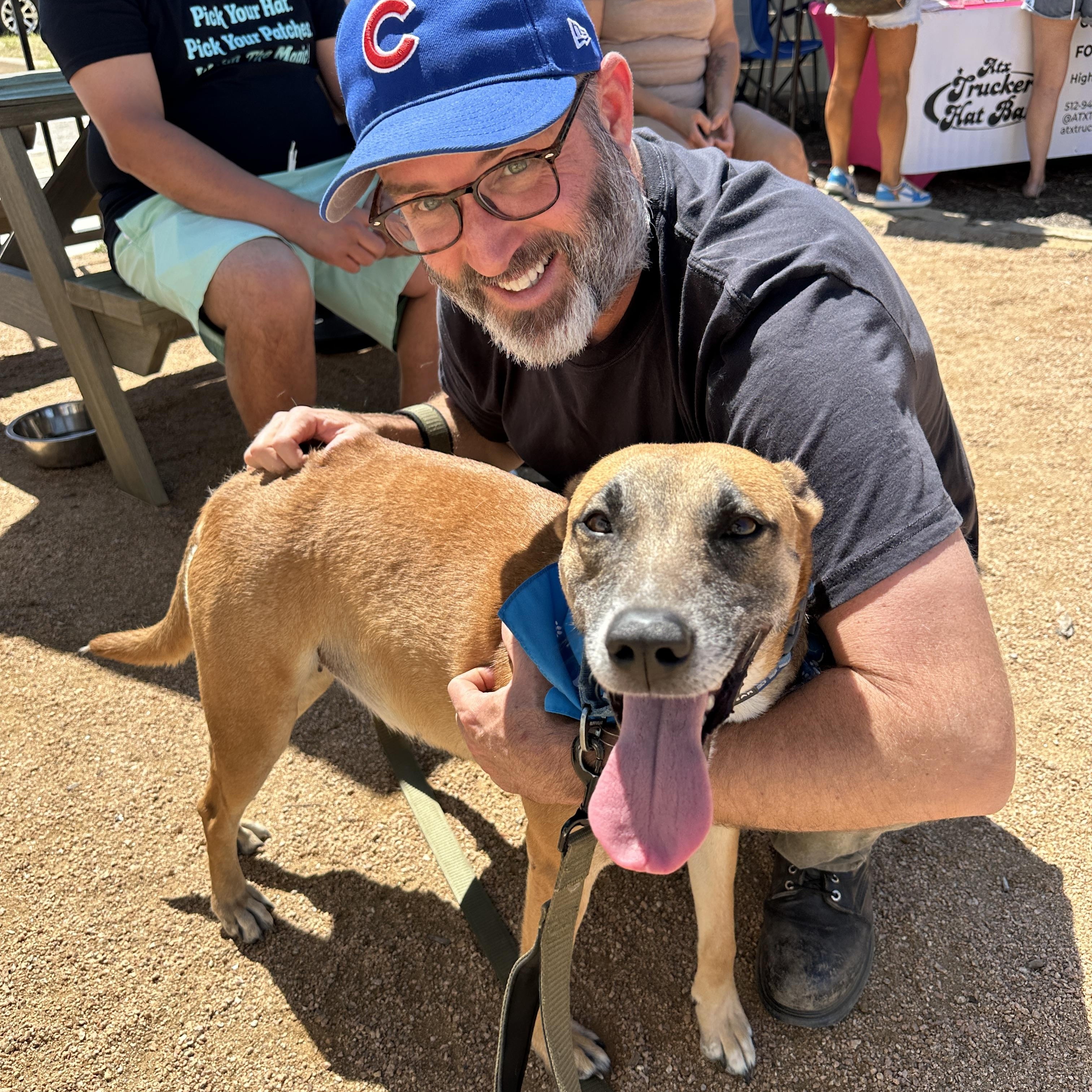 Enlarge Yogurt, a Adoptable mixed breed in Maple Shade, NJ image 2/6