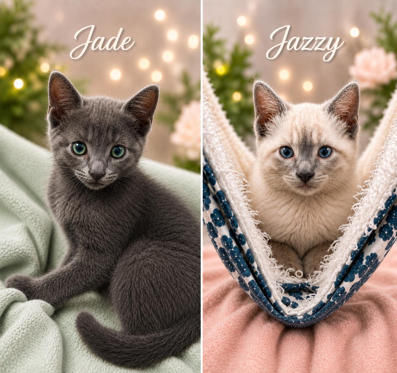 Jade and Jazzy (MUST be adopted together), a Adoptable mixed breed in Houston, TX image 3/6