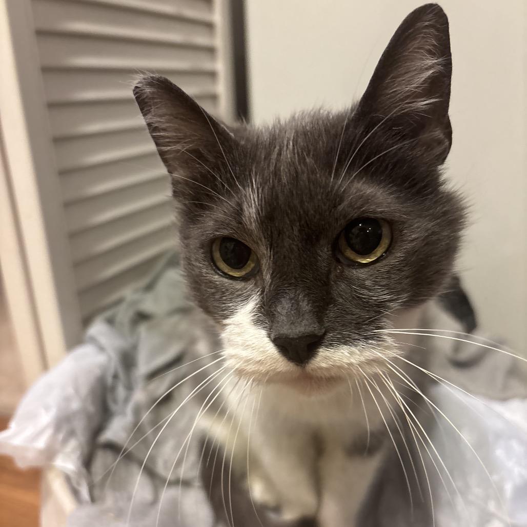 Missy — thumbnail 2