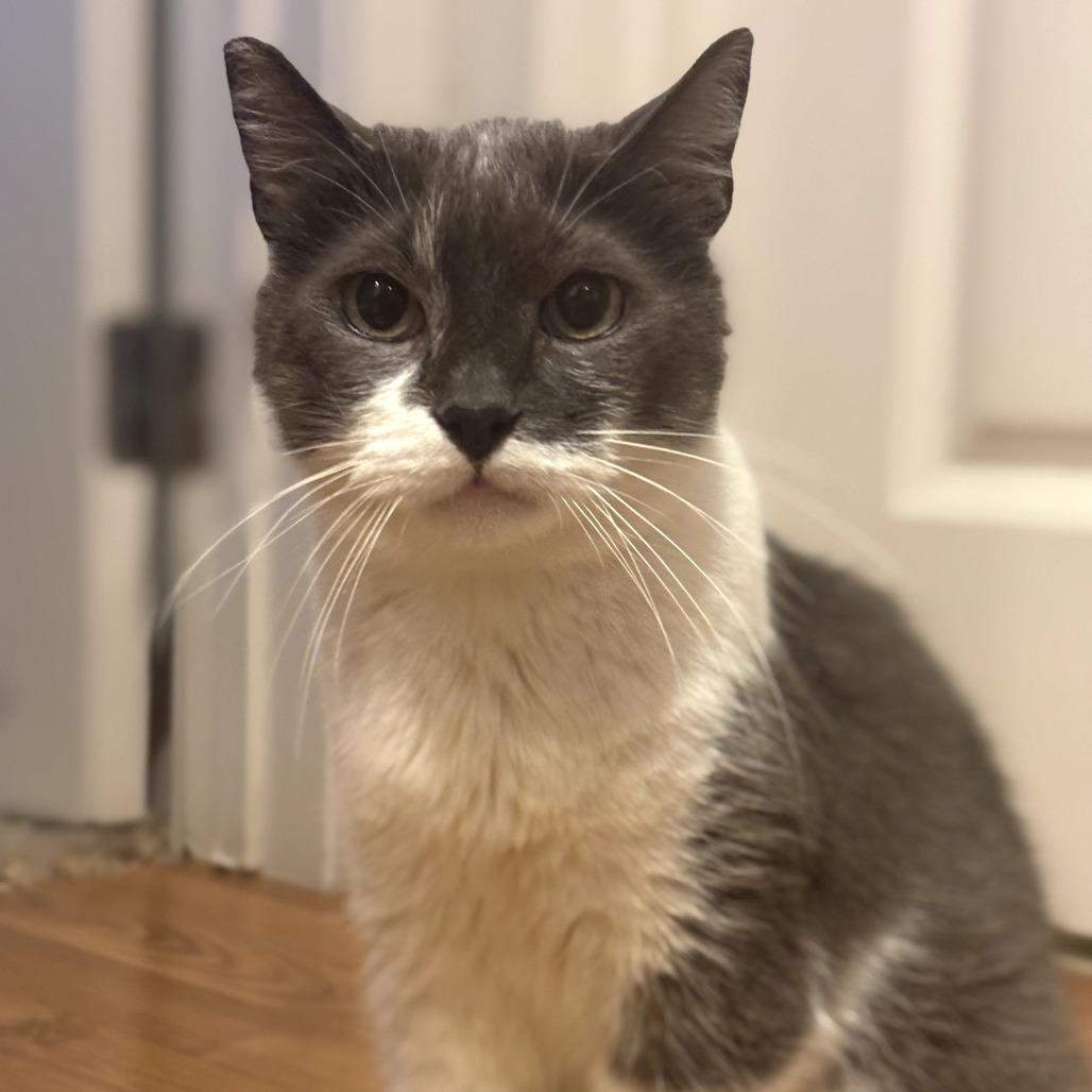 Missy — thumbnail 4