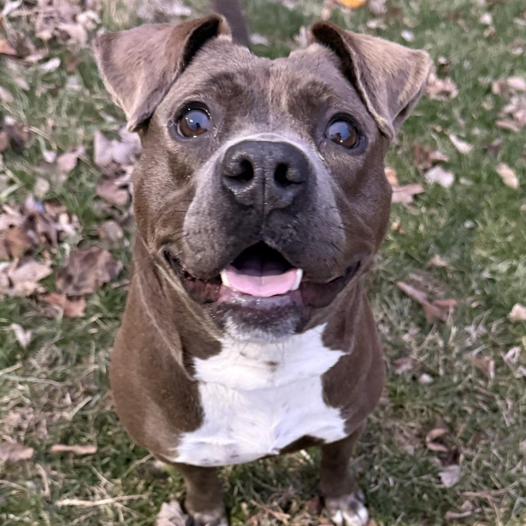 Kizzy — thumbnail 5