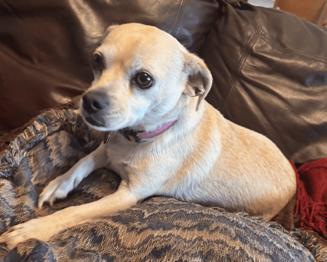 Precious thumbnail 2