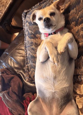 Precious thumbnail 3