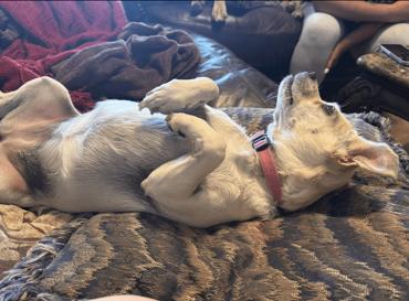 Precious thumbnail 4