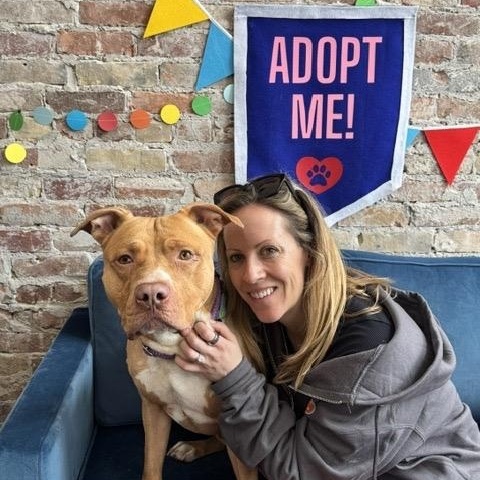 Enlarge Shiloh, an adopted mixed breed in Buffalo, NY image 5/6