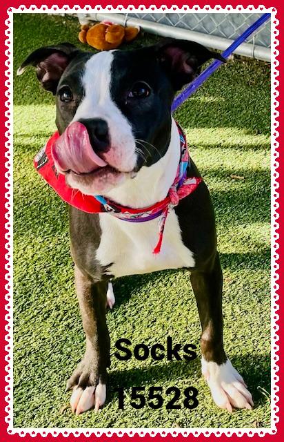 Socks See Also Pretty thumbnail 2