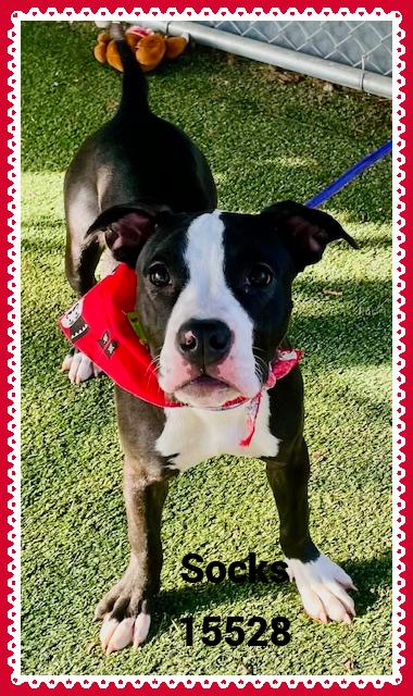 Socks See Also Pretty thumbnail 3