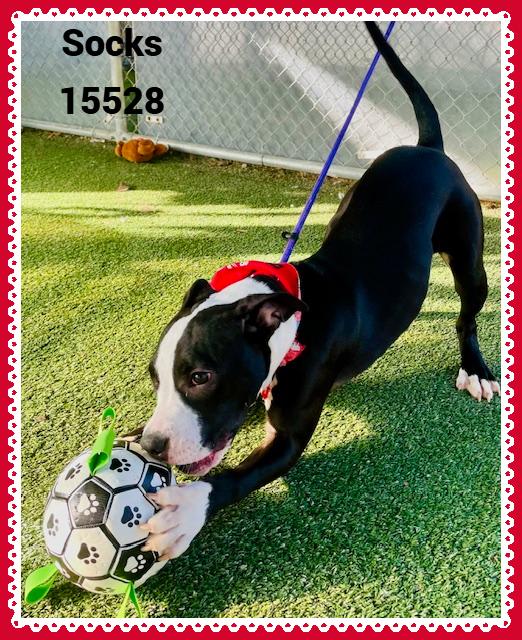 Socks See Also Pretty thumbnail 4