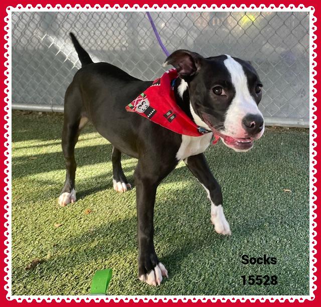 Socks See Also Pretty thumbnail 5