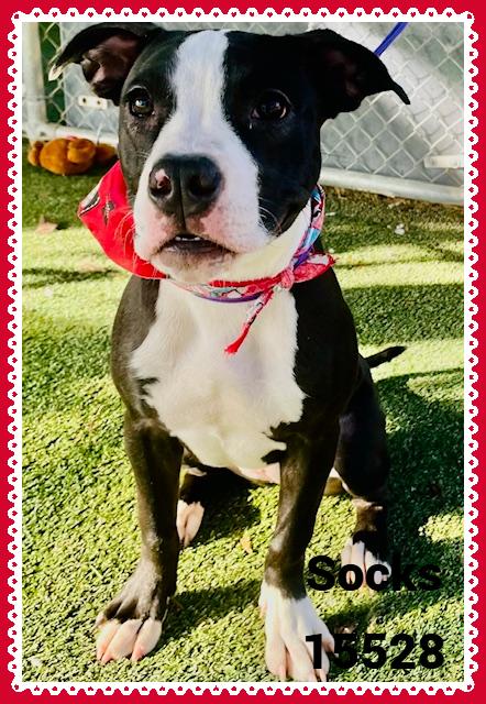 Socks See Also Pretty thumbnail 6