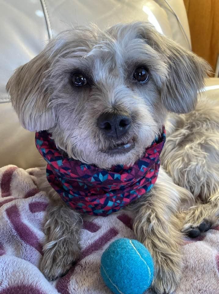 Steffie  Plunkett thumbnail 3