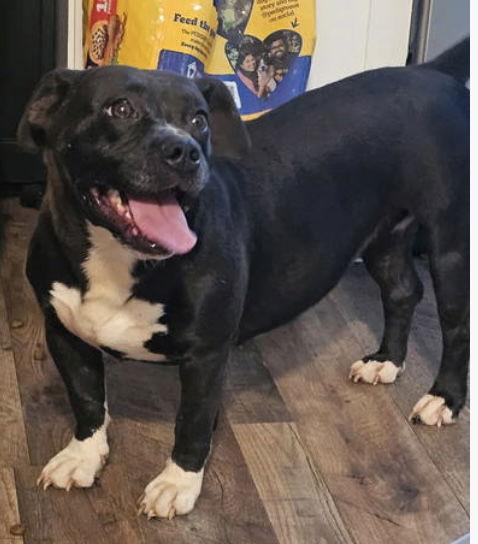 Koda: “my Home To thumbnail 3