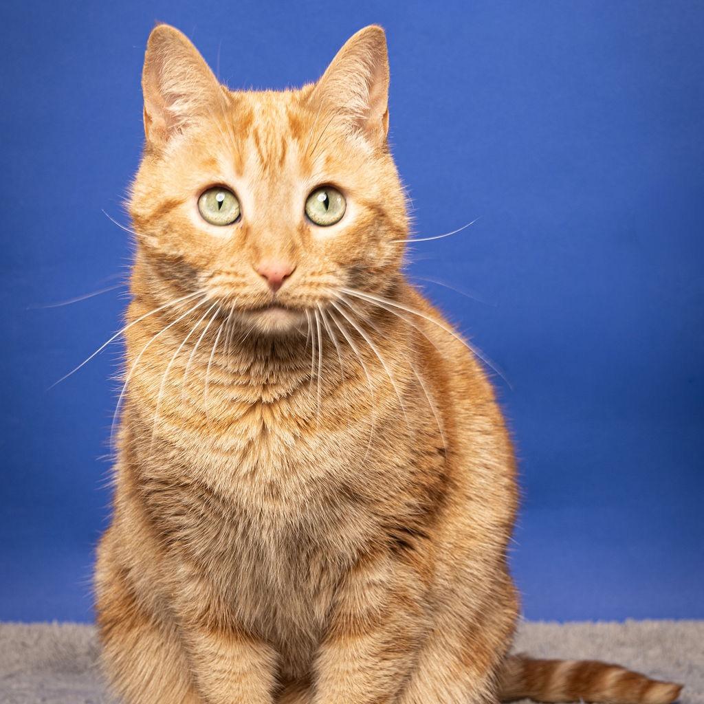 Eileen (aka Ilean) — thumbnail 4