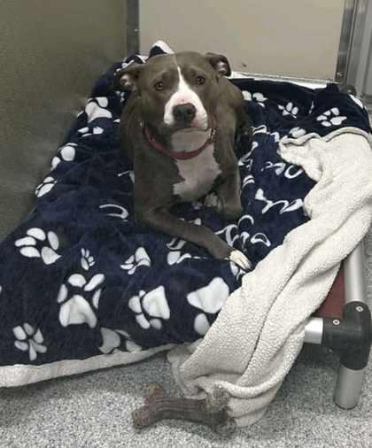 Gabby Ray — thumbnail 2