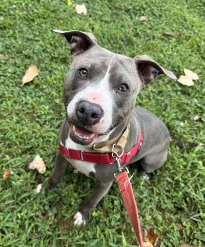 Gabby Ray — thumbnail 3