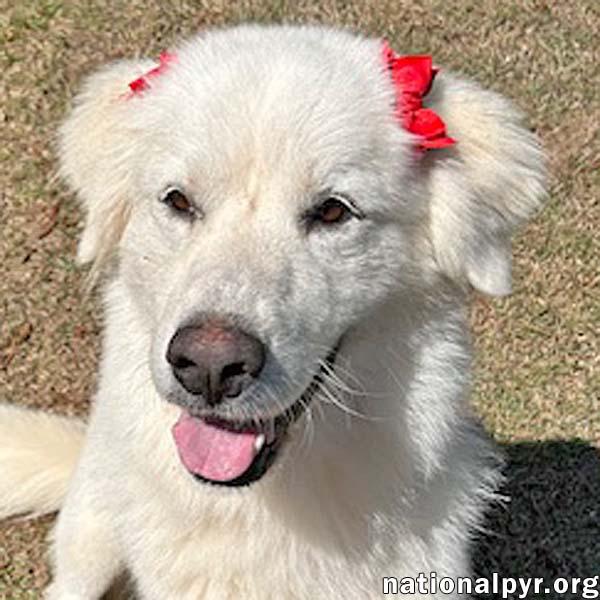 Sugar in GA - The Sweetest Girl In The World!