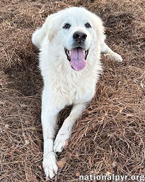 Sugar in GA - The Sweetest Girl In The World!