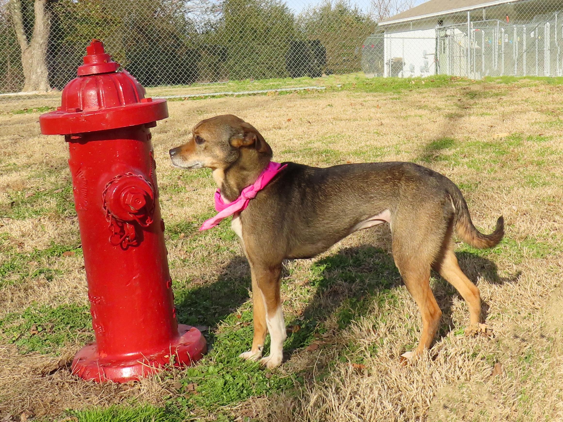 Kiki  Cb thumbnail 2