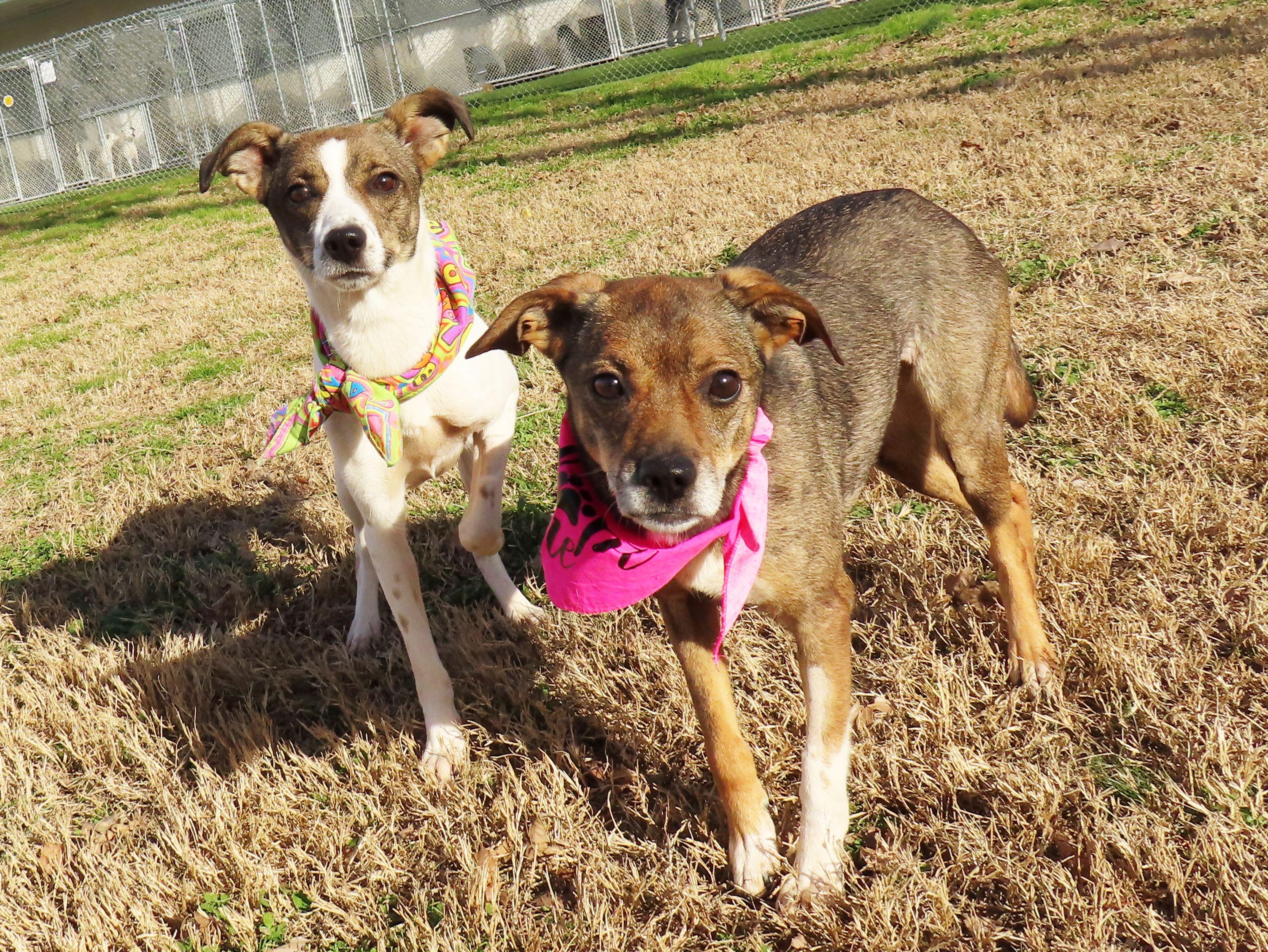 Kiki  Cb thumbnail 3