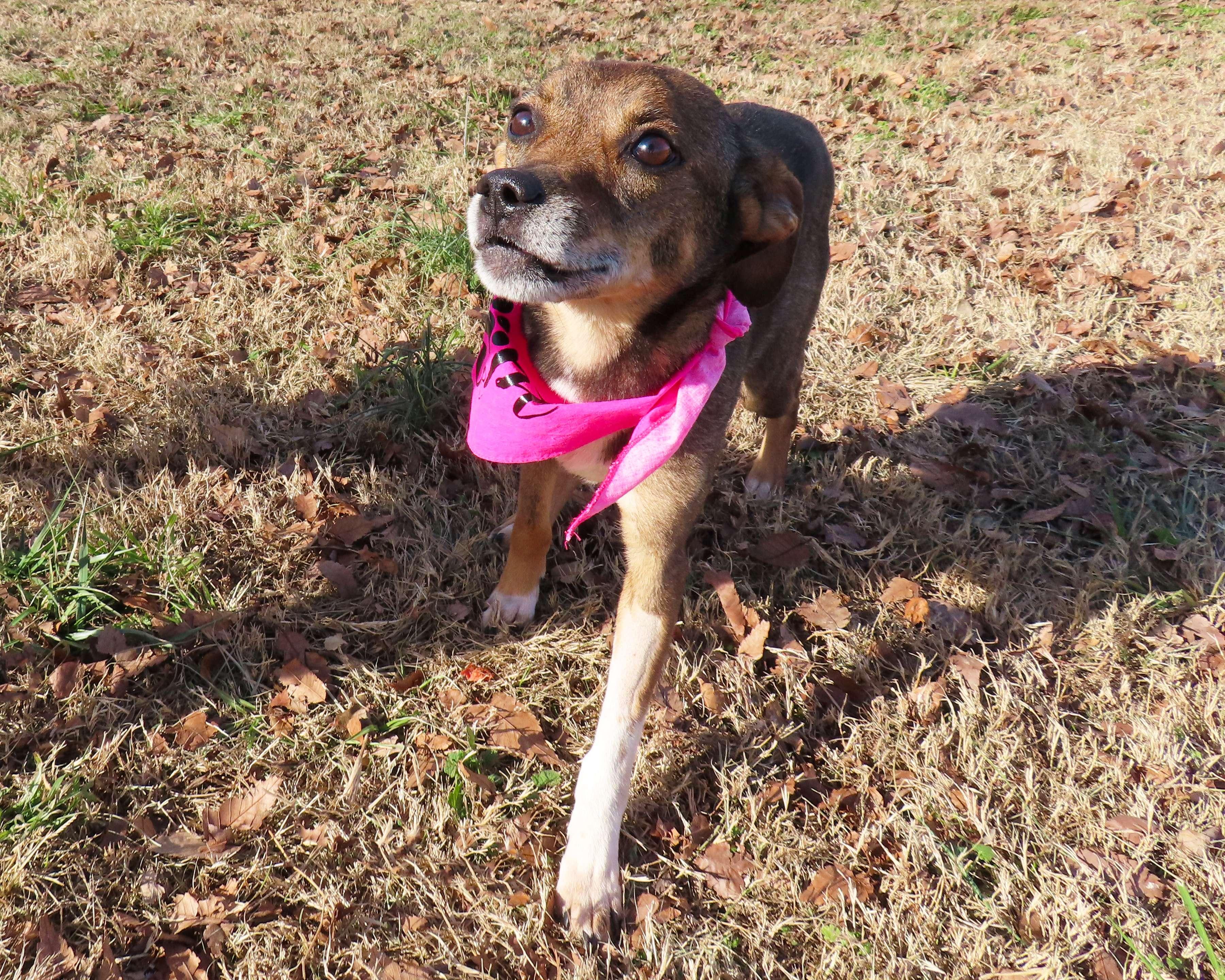 Kiki  Cb thumbnail 4