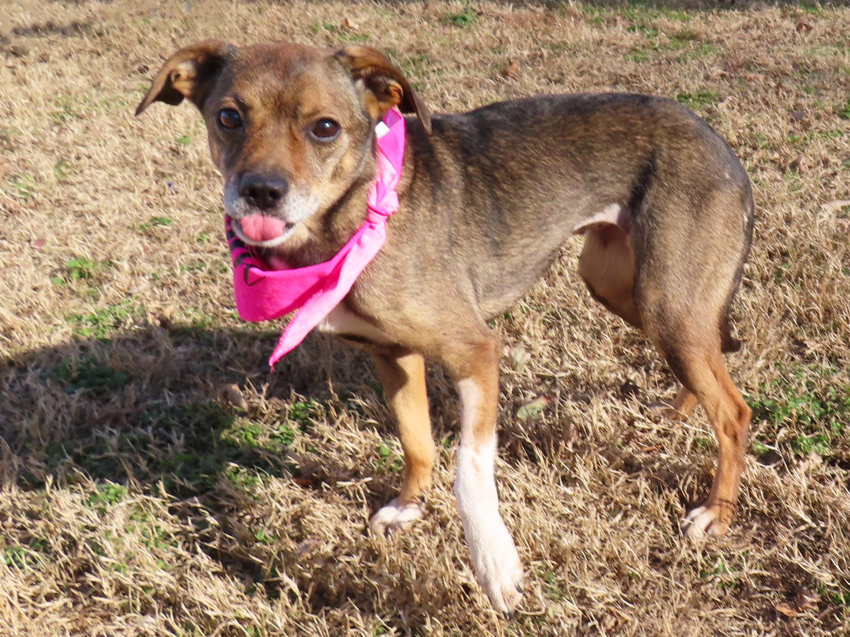 Kiki  Cb thumbnail 5