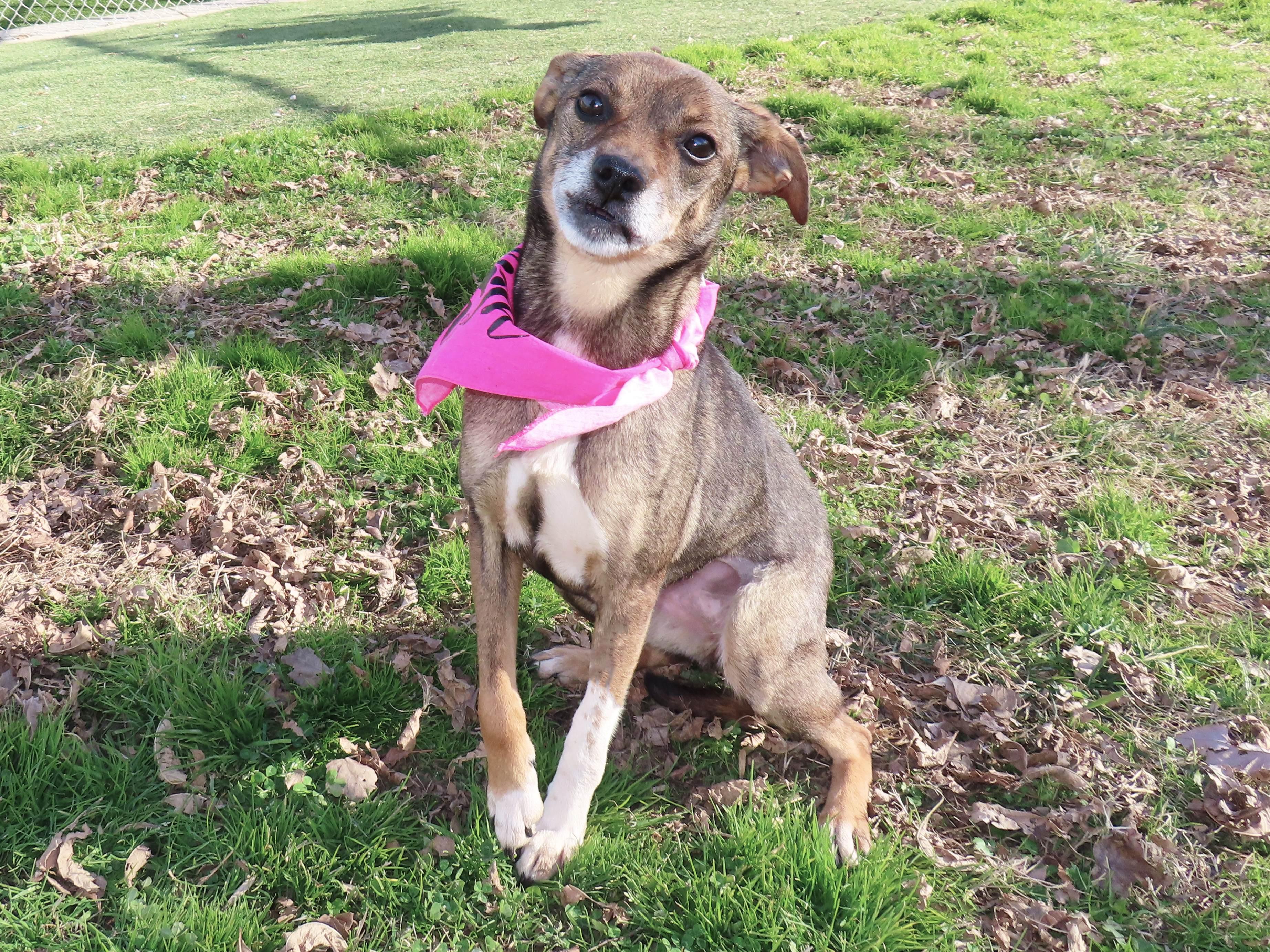 Kiki  Cb thumbnail 6