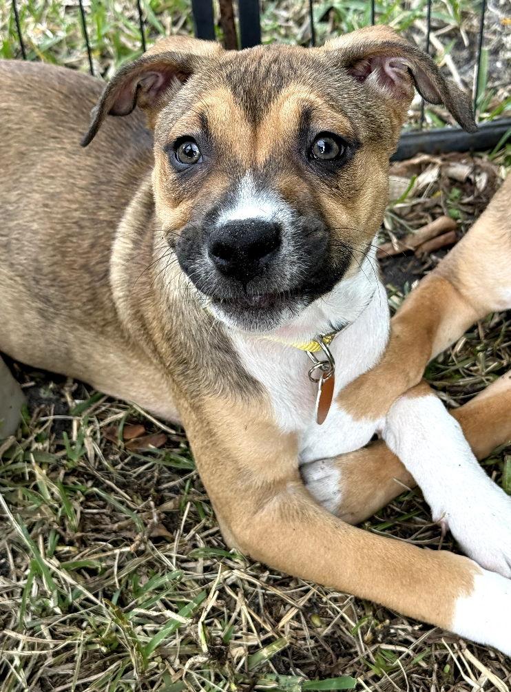 Chloe * — thumbnail 2