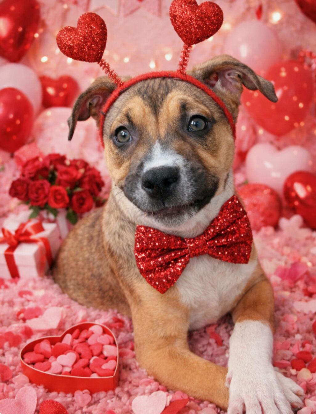 Chloe * — thumbnail 3