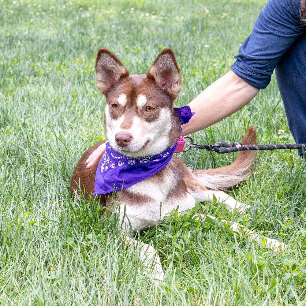 Misty (Female) photo 3