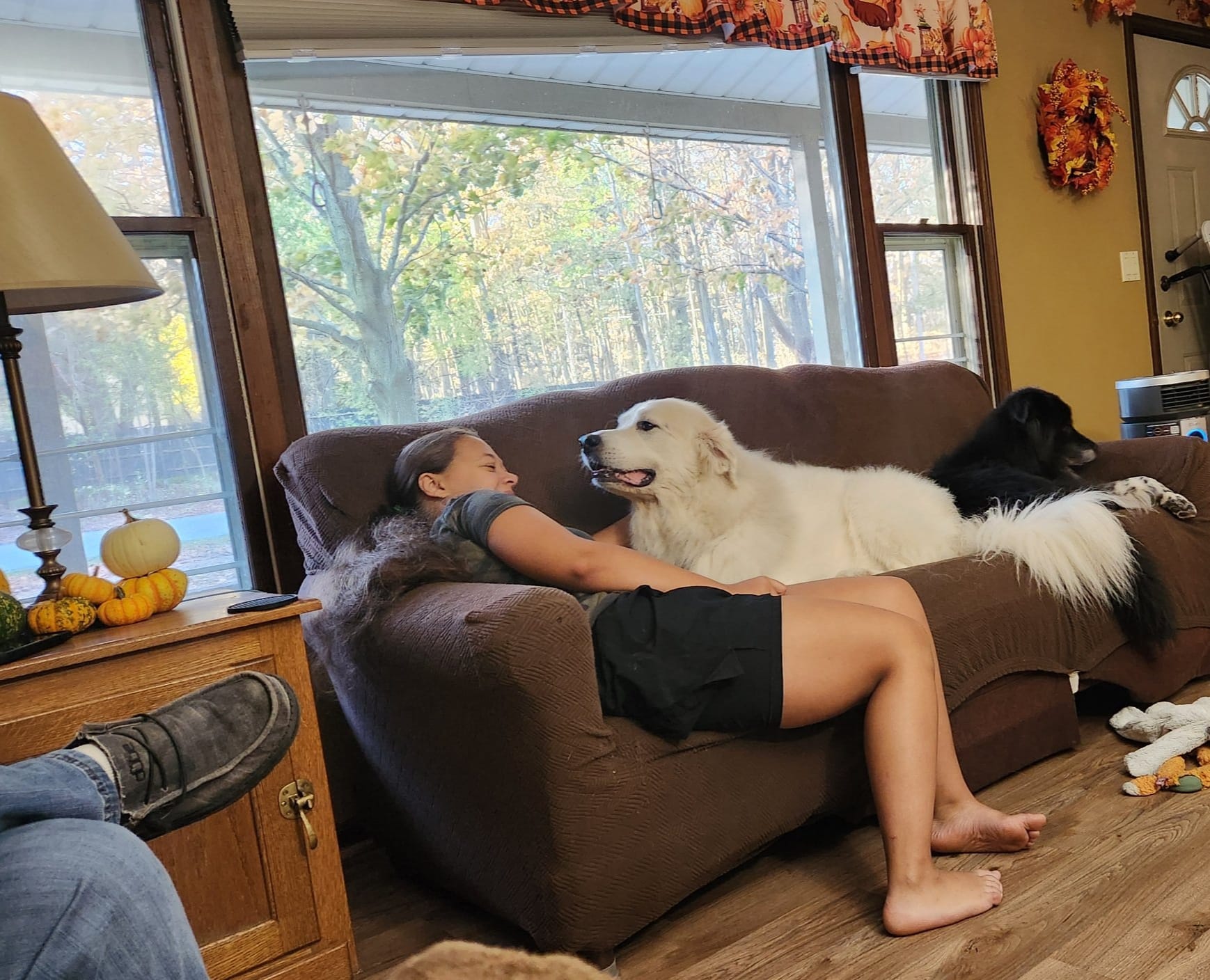 Molly (and Darcy) Free Spirited Sidekick