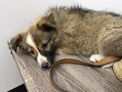 ANGIE — thumbnail 3