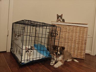 ANGIE — thumbnail 5