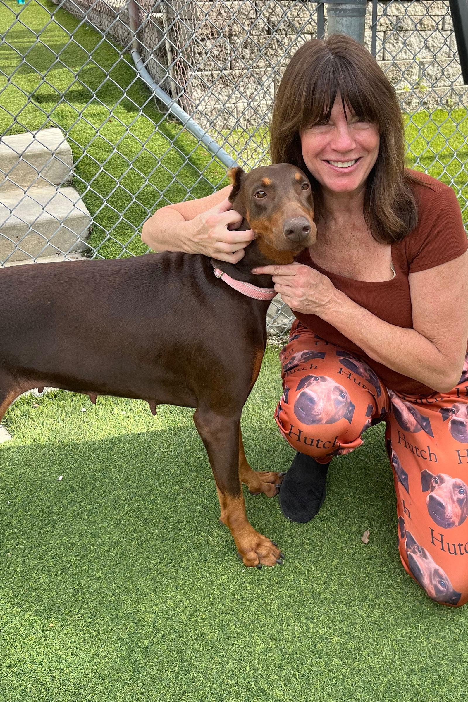 Roxy 3495, a Adoptable Doberman Pinscher in Oakland Park, FL image 1/3